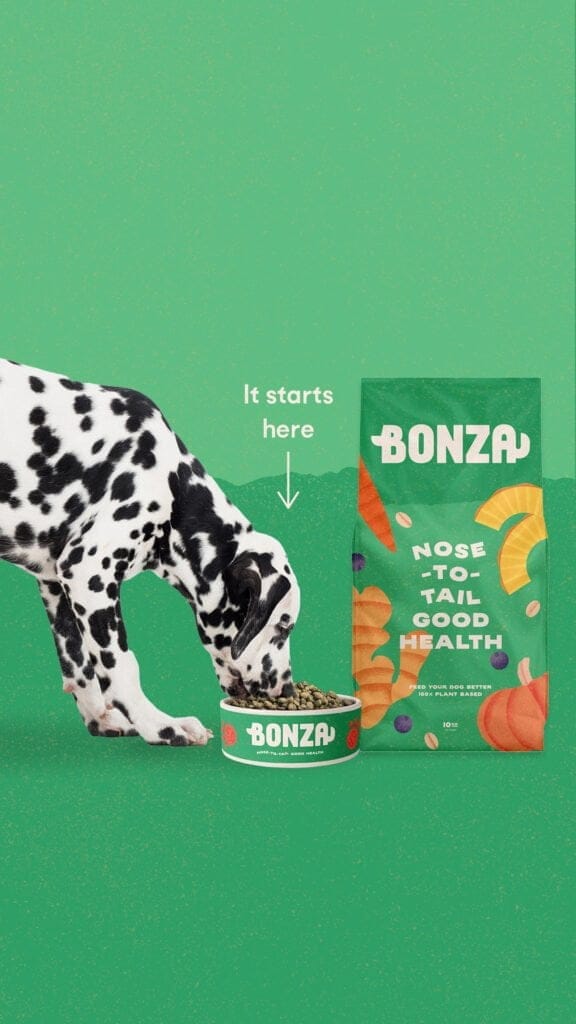 Meilleures croquettes végétaliennes pour chiens difficiles à manger