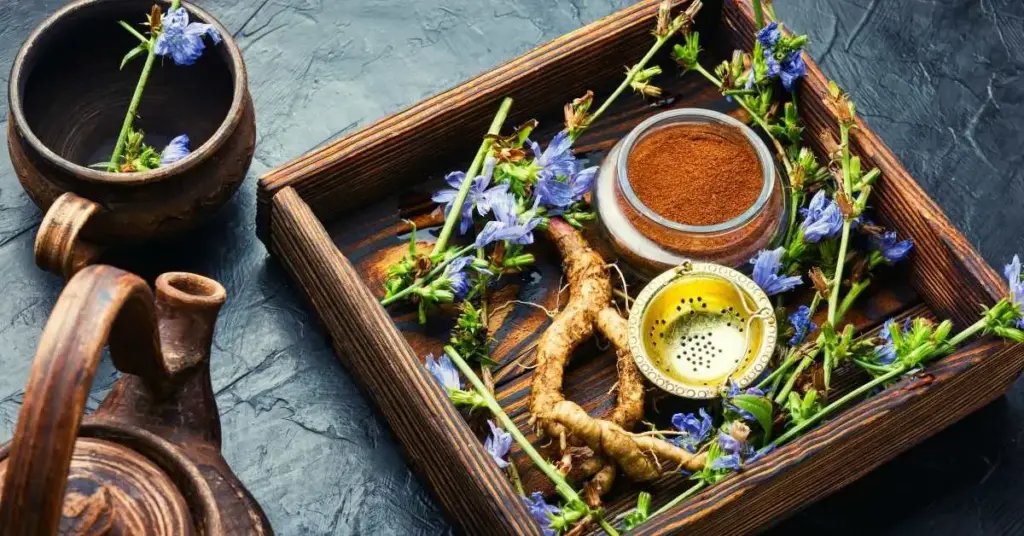 Raíz de achicoria para perros Beneficios para la salud y seguridad