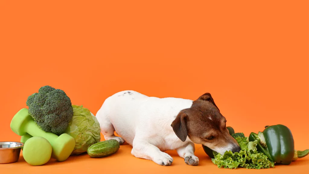 Nutrientes para perros Esenciales para la salud canina