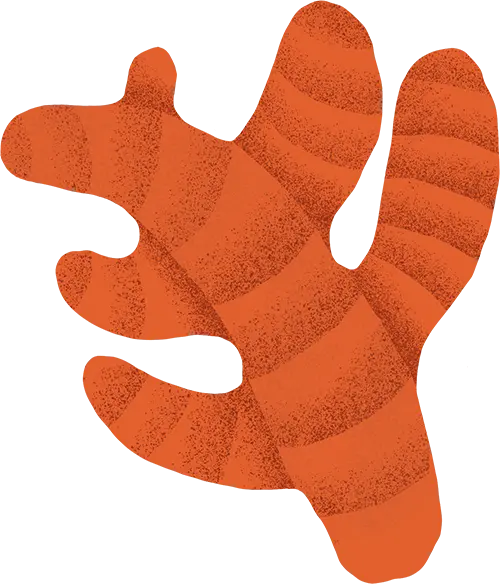 Turmeric Curcumin Adaptogen Herb Bonza Best Super Premium Plant-based Vegan Vegetarian Healthy Dry Dog Food Online Subscription Service Includes Herbs, Botanicals and Adaptogen Supplements for Improved Nutrition and Health