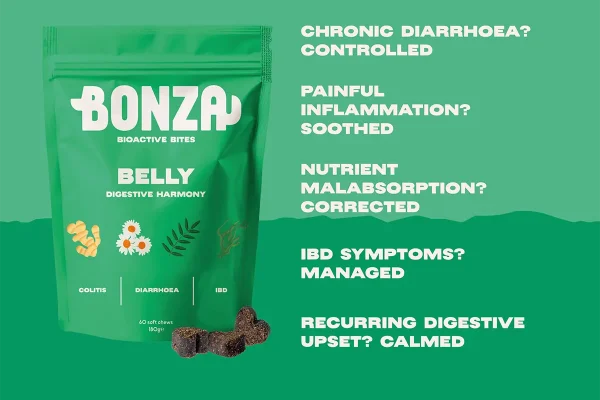 Bestes Ergänzungsmittel zur Festigung von losem Hundehocker - schnell wirkende Hilfe bei weichem Stuhlgang