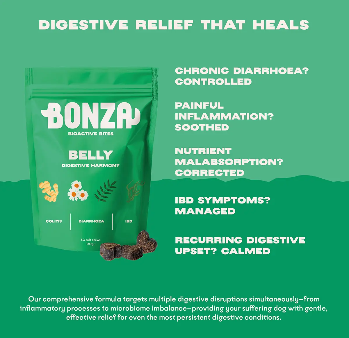Belly - Bioactive Bites - Bonza