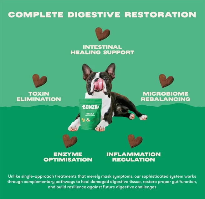 Image showcasing Belly - Bioactive Bites - Bonza