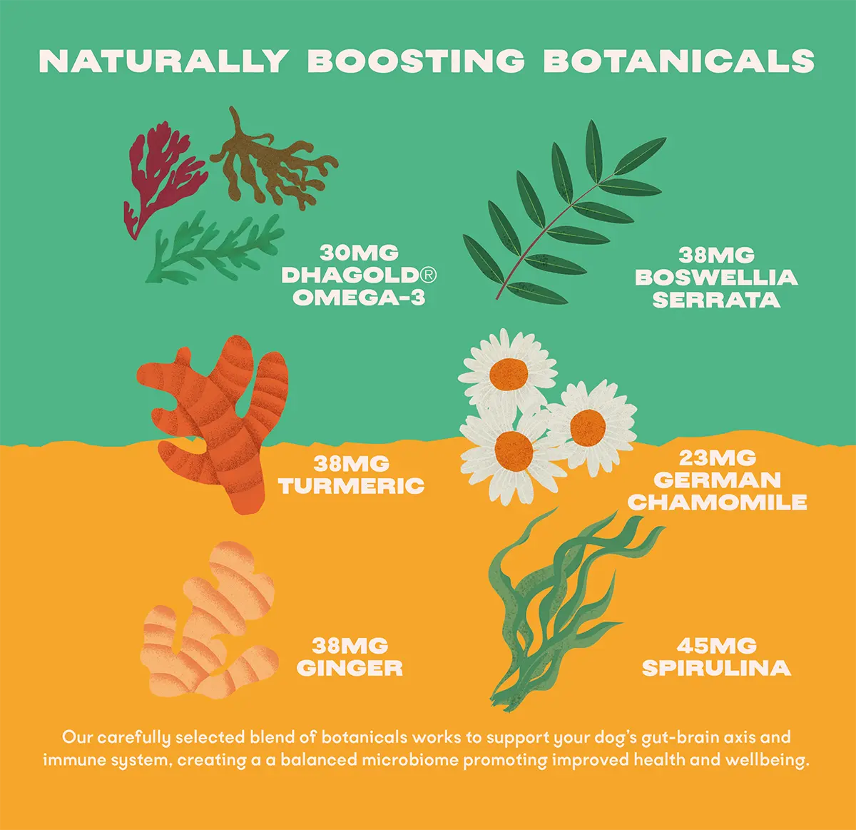 Bonza Biotics Bioactive Bites Prébiotiques Probiotiques Postbiotiques Suppléments naturels à base de plantes pour le système immunitaire et le microbiome intestinal des chiens