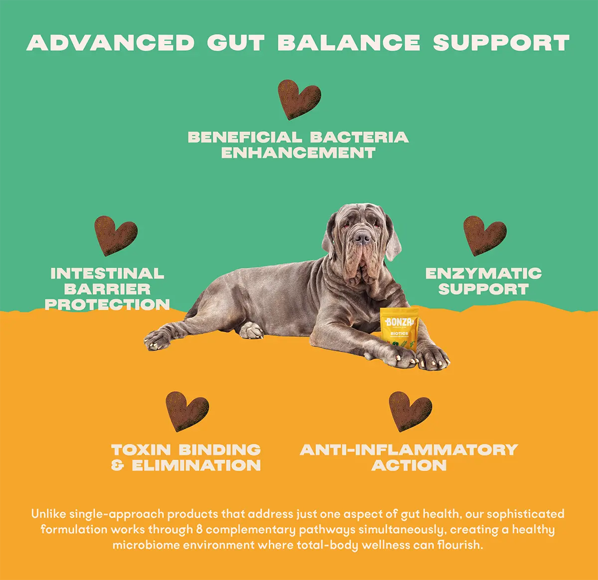 Bonza Biotics Bioactive Bites Prebiotic Probiotic Postbiotics Supplements for Dogs Advanced Natural Support for Gut Microbiome Health (Soutien naturel avancé pour la santé du microbiome intestinal)