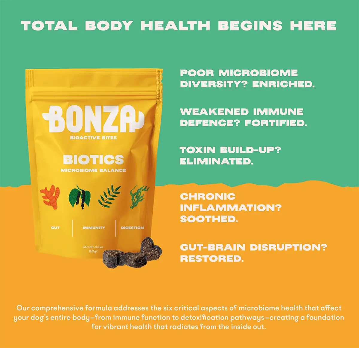 Bonza Biotics Bioactive Bites Suppléments prébiotiques probiotiques postbiotiques pour chiens Système immunitaire Microbiome Élimination des toxines et réduction de l'inflammation
