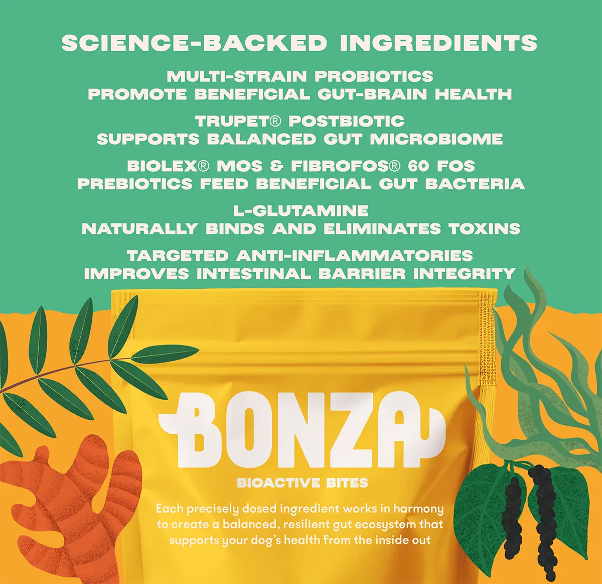 Bonza Biotics Bioactive Bites Supplément prébiotique probiotique postbiotique pour chiens - Soutien naturel à la santé appuyé par la science