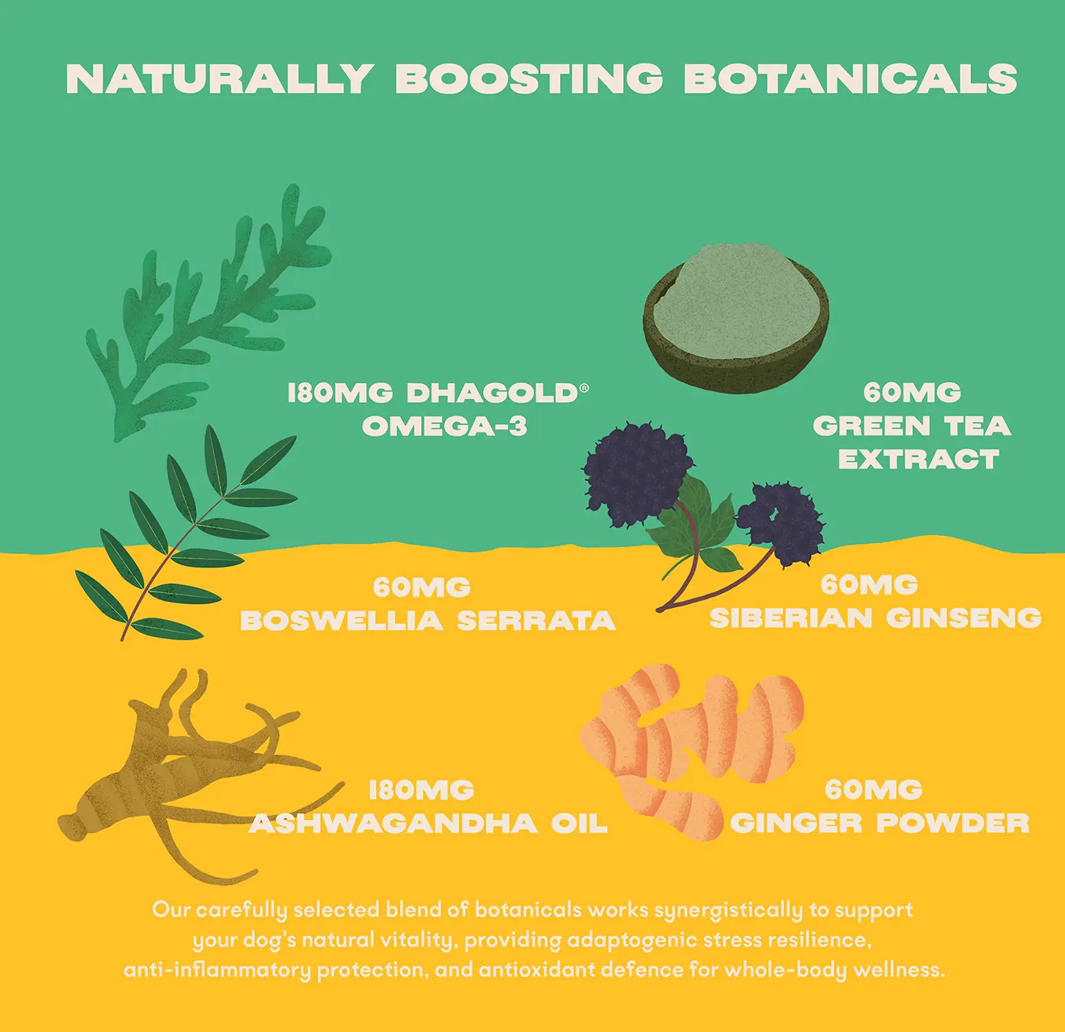 Bonza Boost Vitaminas-Minerales Hierbas Suplementos adaptógenos para la salud de los perros senior
