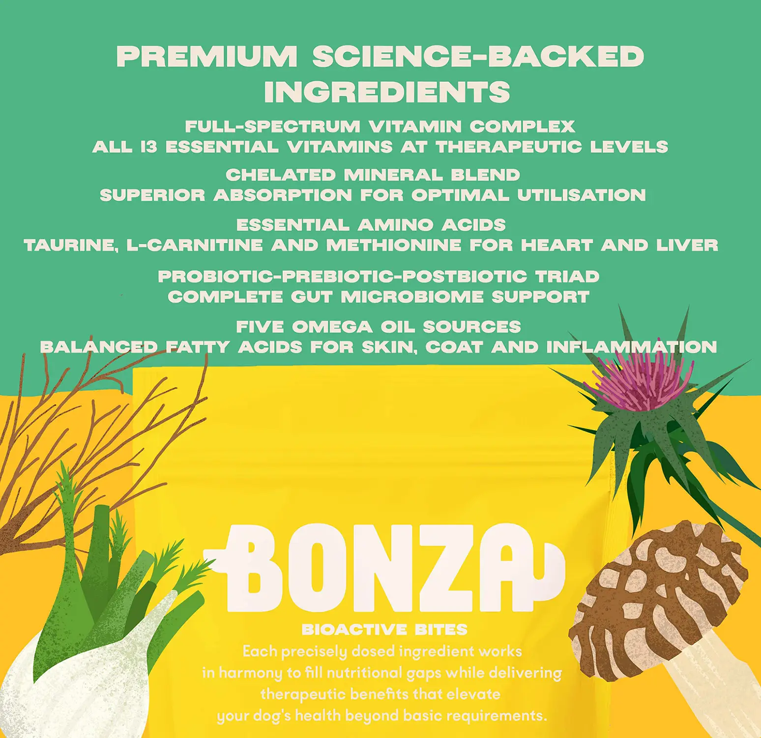 Bonza Boost Suplementos vitamínicos y minerales para perros senior