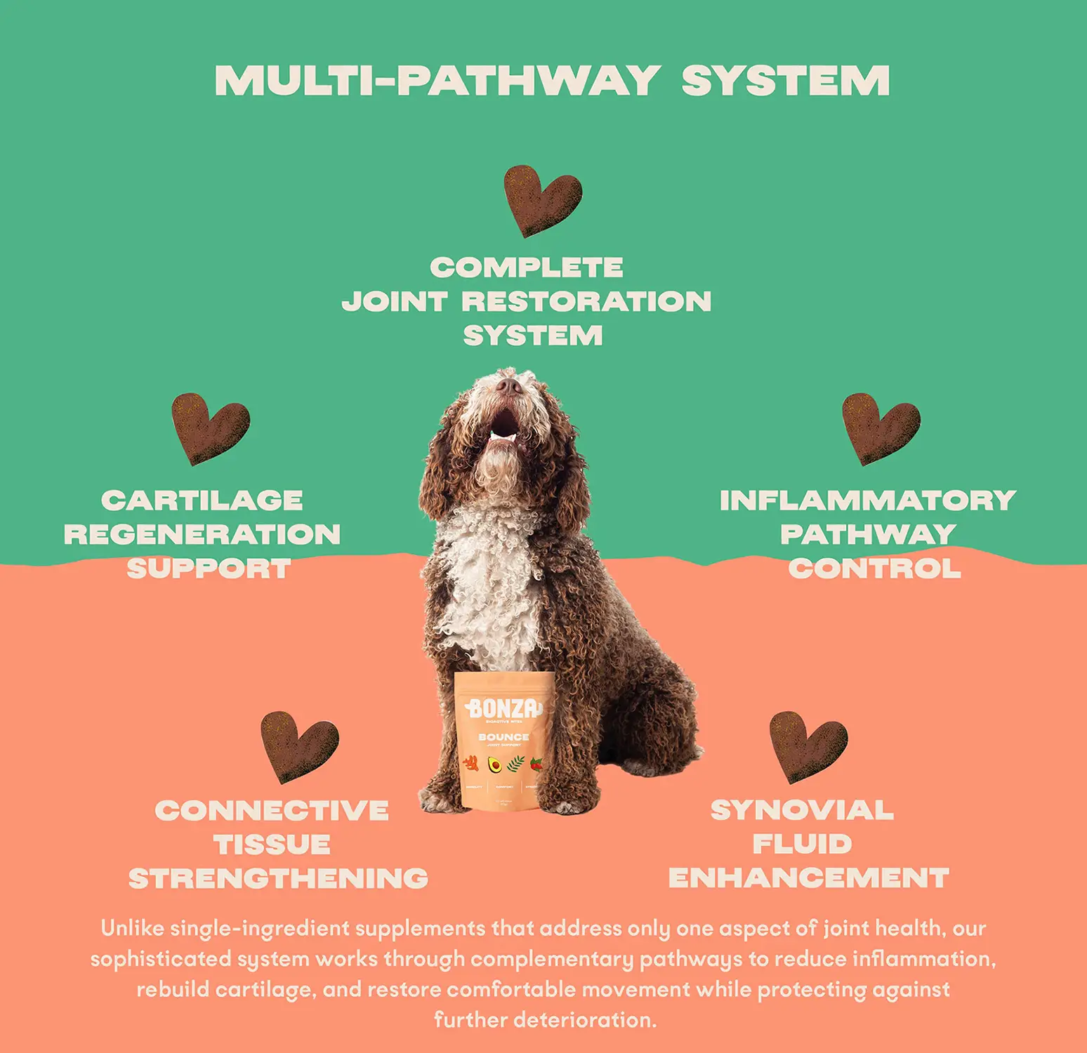 Bonza Bounce Suplemento para articulaciones y movilidad para perros Sistema avanzado de apoyo articular y de movilidad de múltiples vías