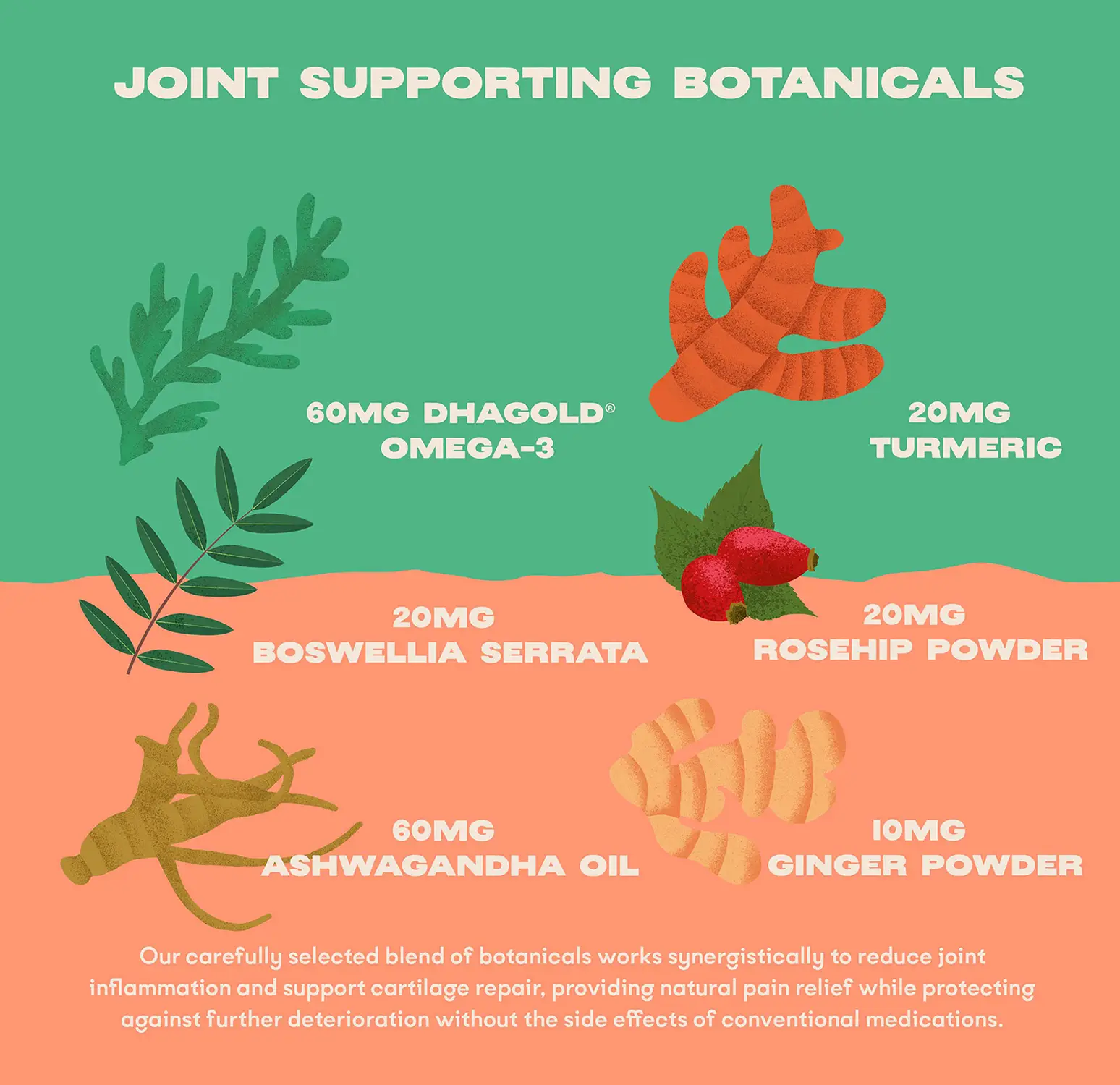 Bonza Bounce Suplemento para las articulaciones y la movilidad de los perros Hierbas naturales y productos botánicos para la salud articular