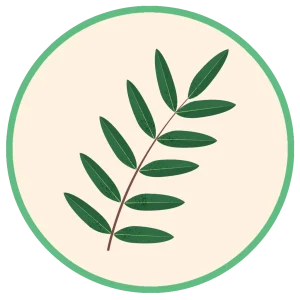 Boswellia Serrata pour chiens Avantages pour la santé - Soutien des articulations et de la mobilité, santé respiratoire et soutien de l'intestin, du système digestif et de l'appareil gastro-intestinal