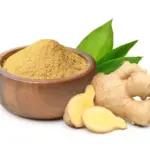 Les chiens peuvent-ils manger du gingembre ? Guide des bienfaits du gingembre Can Dogs Eat Ginger Health Benefits Precautions and Dosage