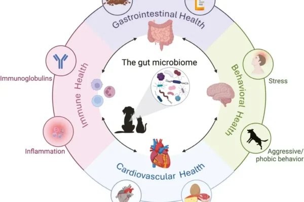 Woordenlijst darmmicrobioom bij honden: Belangrijke termen uitgelegd voor hondeneigenaren