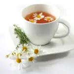 Chamomile Tea for Dogs Usage and Health Benefits