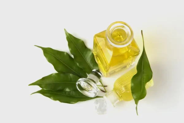 Nelkenblütenöl für Hunde - Anti-Parasitische Wirkungen (und mehr)