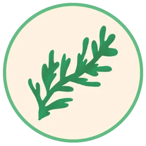 DHAgold Omega 3 avec EPA DHA et DPA Extrait d'algues - Santé de la peau et du pelage, santé des articulations, développement et fonction cognitifs et santé cardiaque