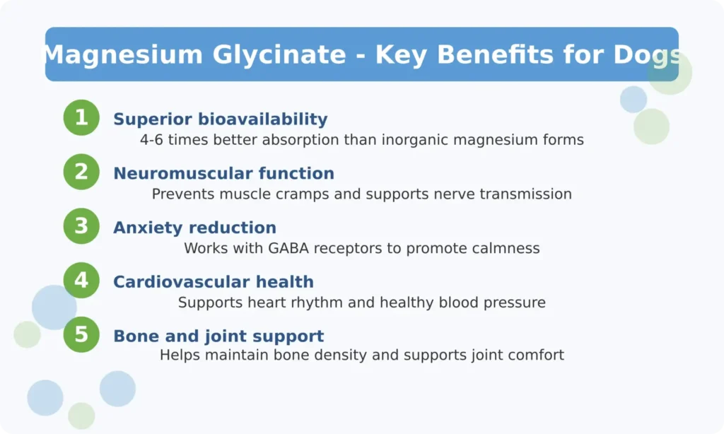 Magnesium Glycinate Health Benefits for Dogs - Key Takeaways