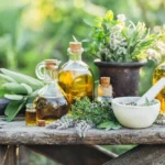 Herbes nutraceutiques pour chiens : Guide des effets sur la santé Herbes médicinales pour chiens Remèdes naturels pour les problèmes de santé et les affections