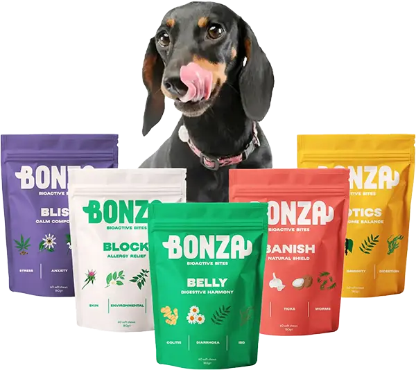 Bonza Bioactive Bites Functional Soft Chew Supplements for Dog Health Issues