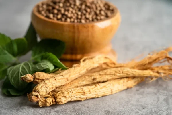 Panax Ginseng para perros: un adaptógeno esencial para el estrés, la cognición y la vitalidad de los mayores