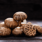 Champignons Shiitake pour chiens : soutien immunitaire, protection antioxydante et bienfaits pour l'ensemble du corps