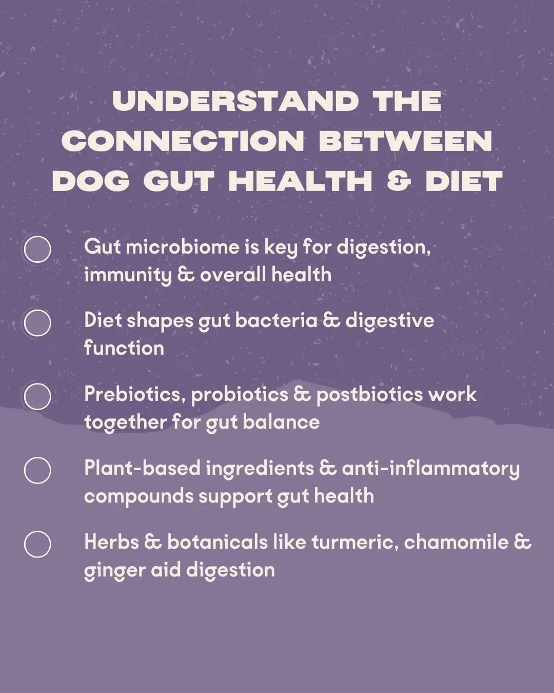 Curated visual reference: Gut Concerns Death Dogs Reference: Signs Of Poor Gut Health In Dogs Symptoms To Watch