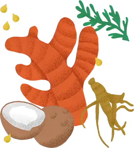 http://Vegan%20Dog%20Food%20for%20Brain%20Health%20and%20Cognitive%20Function