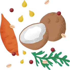 http://Vegan%20Dog%20Food%20Healthiest%20Superfood%20Ingredients