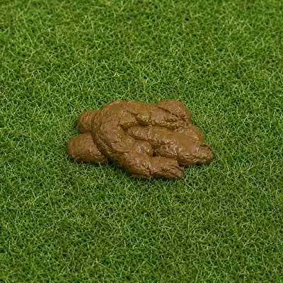 Grade 5: very soft, partly formed pile